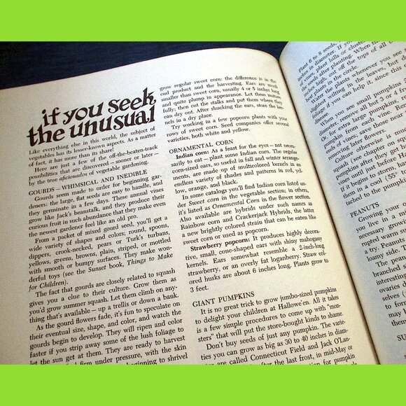 Book: Vegetable Gardening by Sunset Books, Vintage - Picture 7 of 16